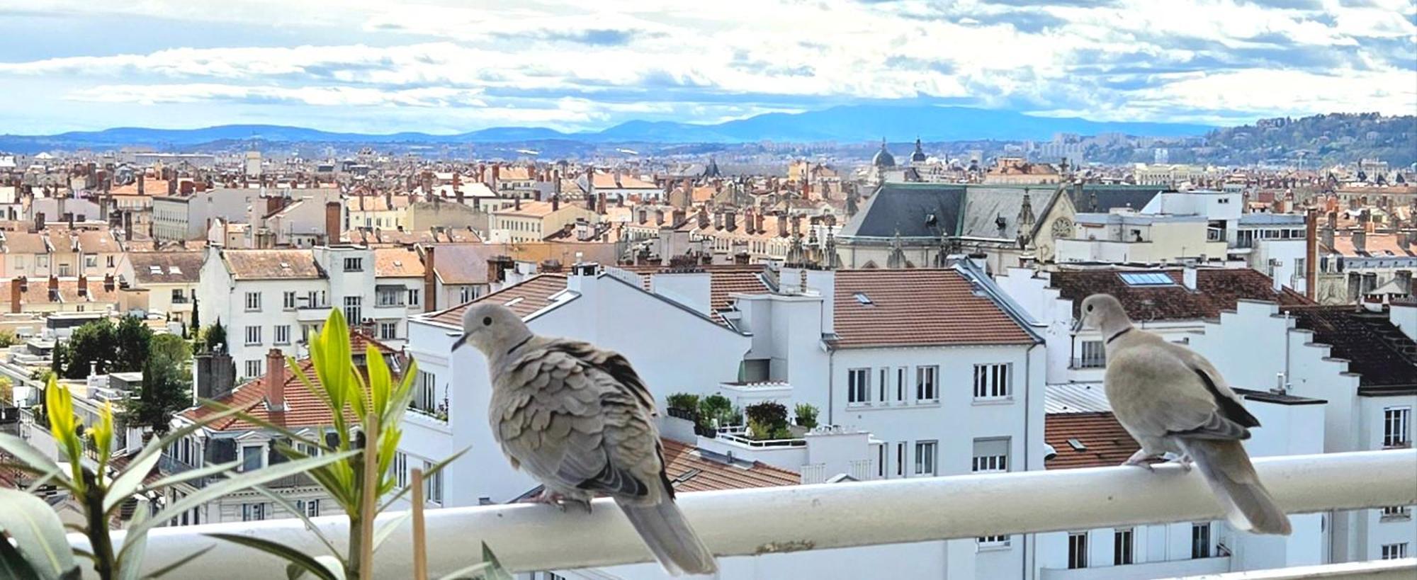 Plein Sud Terrasse Climatisation Garage Netflix Apartment Lyon Bagian luar foto